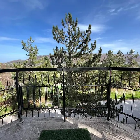 Anita's * 奥温多利