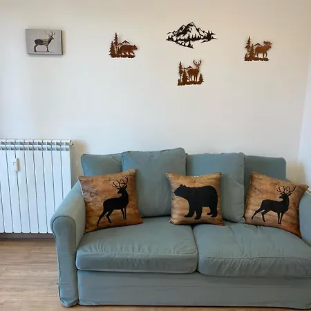 Anita's Apartment